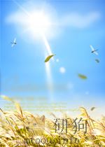 科技文献索引 期刊部分 生物学 第10期 总第16期 1963 PDF电子版封面