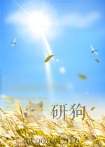 测量制图译报 第4期 总第6期 1958 PDF电子版封面