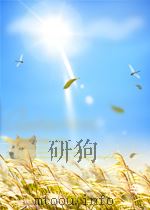 建筑译丛  施工技术  第10期  总第22期（1965 PDF版）