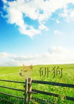 青海农林 第13期 1960 PDF电子版封面