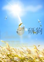 农业技术 第19期 总第63期 1953 PDF电子版封面