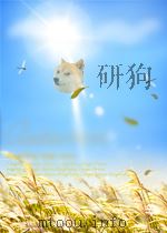 水利与电力 第6期 总第100期 1963 PDF电子版封面