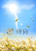 物理文摘 原子核物理部分 第2期 1960 PDF电子版封面