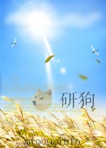 物理文摘 原子核物理部分 第10期 1960 PDF电子版封面