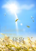 机械制造文摘 第六分册 第9期 1959 PDF电子版封面