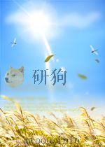 锅炉与透平快报  第14期  总第62期（1965 PDF版）