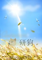 科技文献索引  期刊部分  力学  第10期（1962 PDF版）