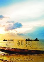 有机化学工业快报 第22期 1960 PDF电子版封面