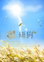 水利水电建设  第13期  总第17期（1959 PDF版）