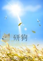 中国林业 第24期 1959 PDF电子版封面 10000623