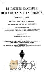 BEILSTEINS HANDBUCH DER ORGANISCHEN CHEMIE PDF电子版封面