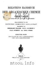 BEILSTEINS HANDBUCH DER ORGANISCHEN CHEMIE VIERTE AUFLAGE DIE LITERATUR BIS I.JANUAR 1910 UMFASSEND PDF电子版封面