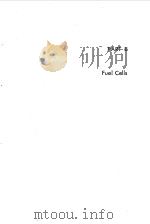 Chapter 23 Fuel Cells as Energy Converters PDF电子版封面