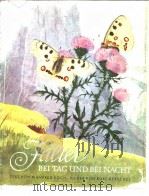 FALTER BEI TAG UND BEI NACHT PDF电子版封面