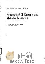 Institute of Gas Technology.Efficient use of fuels in process and manufactring industries.1974. PDF电子版封面