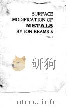International Conference on Surface Modification of Metals by Ion Beams (6th:1988;Italy)Surface modi PDF电子版封面