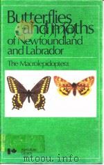 Morris·Butterflies and moths of Newfoundiand and Labrador（ PDF版）