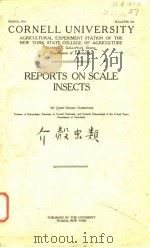 REPORTS ON SCALE INSECTS PDF电子版封面