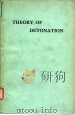 Theory of Detonation PDF电子版封面