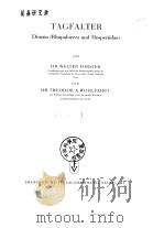 TAGFALTER  Diurna（Rhopalocera und Hesperiidae）（ PDF版）