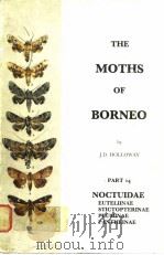 THE MOTHS OF BORNEO PDF电子版封面 J.D.HOLLOWAY