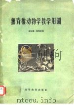 无脊椎动物学教学用图 1959年1月第1版 PDF电子版封面 赵如翼 路顺奎
