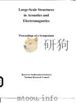 Large-Scale Structures in Acoustics and Electromagnetics PDF电子版封面 0309053374 Proceedings of a Symposium