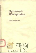 Gyrotropic Waveguides PDF电子版封面 PAUL HLAWICZKA
