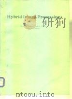 Hybrid Image Processing PDF电子版封面 0892526734