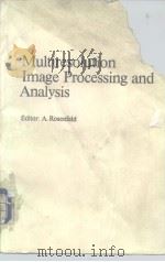 Multiresolution Image Processing and Analysis 1984 PDF电子版封面