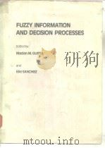 FUZZY INFORMATION AND DECISION PROCESSES PDF电子版封面 0444864911