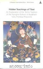 Hidden Teachings of Tibet: An Explanation of the Terma Tradition of the Nyingma School of Buddhism PDF电子版封面 086171041X 土尔库·桑度仁波切