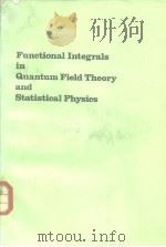 Functional Integrals in Quantum FieldTheory and Statistical Physics PDF电子版封面 9027714711