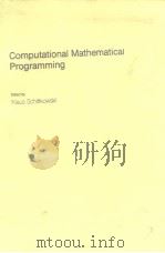 ComputationalMathematical Programming PDF电子版封面