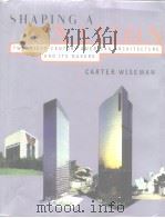 SHAPING A NATION PDF电子版封面 0393045641