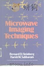 Microwave Imaging Techniques（ PDF版）