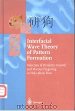 Interfacial Wave Theory of Pattern Formation PDF电子版封面