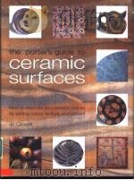 Tth Potter's Guide to Ceramic Surfaces JO CONNELL PDF电子版封面 1840923601
