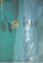 David Doubilet Water Light Time PDF电子版封面 0714838284