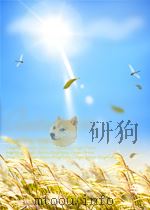 The BIG BOOK of LOGOS 3 PDF电子版封面