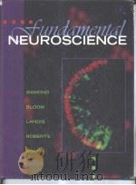 FUNDAMENTAL  NEUROSCIENCE（ PDF版）