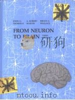 From neuron to brain:a cellular and molecular approach to the function of the nervous system (Third PDF电子版封面 0878935800 John G.Nicholls A.Robert Mart