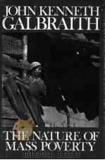 The Nature of Mass Poverty（ PDF版）