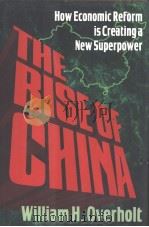 How Economic Reform is Creation a New Superpower PDF电子版封面 0393035336