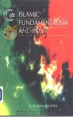 ISLAMIC FUNDAMENTALISM PDF电子版封面 8178710137 J.B.DAS GUPTA