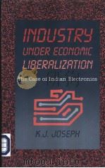 Industry under economic liberalization: the case of Indian electronics PDF电子版封面 0761992111 K.J.Joseph