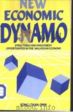 NEW ECONOMIC DYNAMO Structures and Investment Opportunities in the Malaysiasn Economy PDF电子版封面 0868618020
