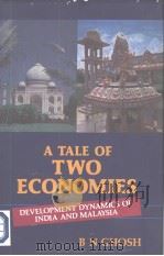 A TALE OF TWO ECONOMIES PDF电子版封面 8186772022