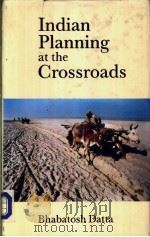 Indian Planning at the Crossroads（ PDF版）