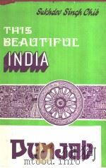 This Beautiful India PUNJAB PDF电子版封面